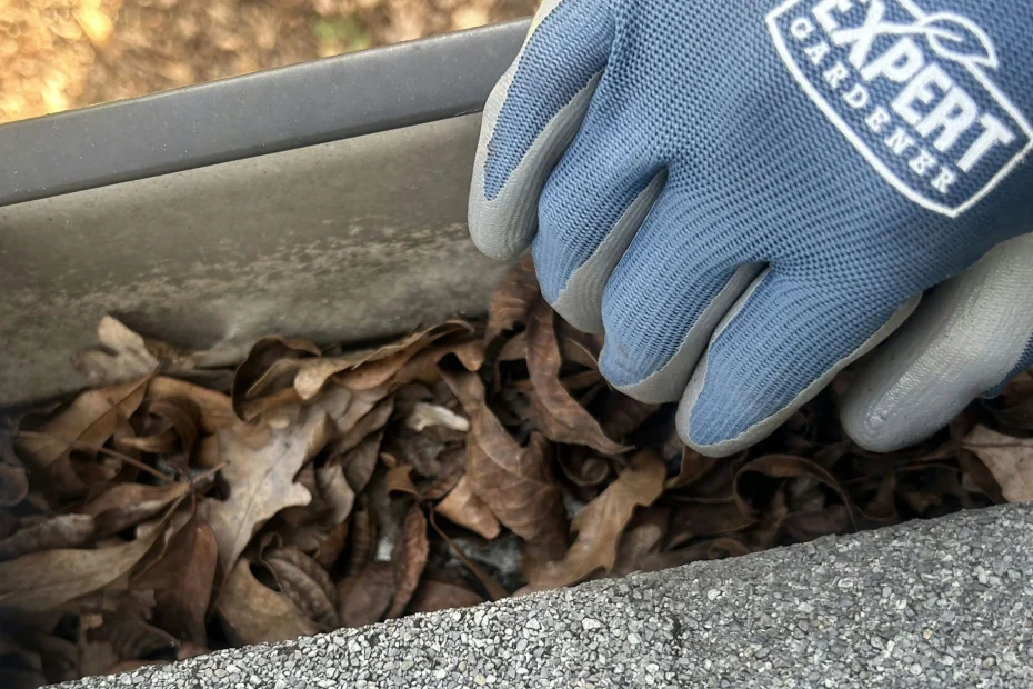 Gutter Cleaning Pelican